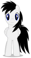 Size: 2500x4585 | Tagged: safe, artist:creedyboy124, derpibooru import, oc, oc:shane park, unofficial characters only, pegasus, pony, front view, g4, image, male, png, simple background, smiling, solo, stallion, transparent background