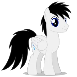 Size: 4926x4911 | Tagged: safe, artist:creedyboy124, derpibooru import, oc, oc:shane park, unofficial characters only, pegasus, pony, g4, image, male, png, simple background, smiling, solo, stallion, transparent background