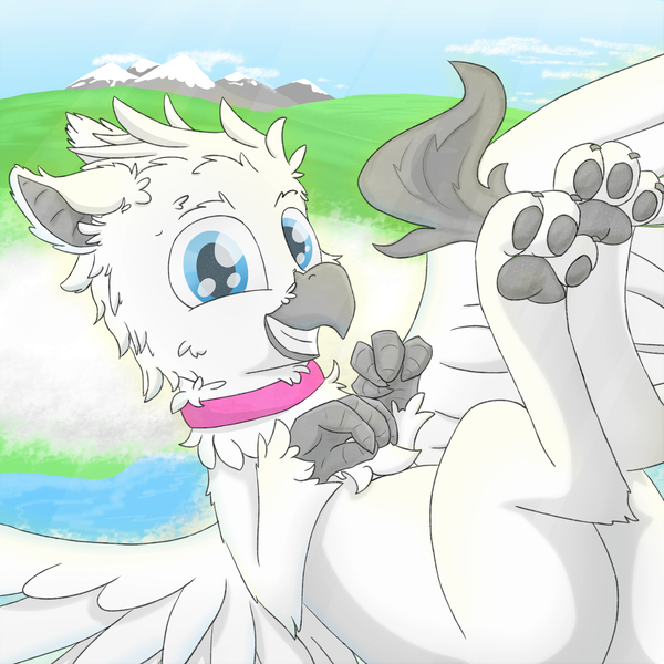 Size: 3640x3641 | Tagged: safe, artist:pzkratzer, derpibooru import, oc, oc:griffin zephyr, gryphon, butt, flying, image, looking at you, lying down, mountain, on back, paws, plot, png, smiling, solo, underpaw