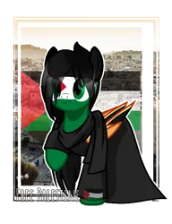 Size: 646x843 | Tagged: safe, artist:diniarvegafinahar, derpibooru import, ponified, pegasus, pony, clothes, colored wings, eye clipping through hair, female, flag, image, mare, nation ponies, palestine, png, politics, raised hoof, scarf, simple background, solo, transparent background, two toned wings, wings