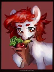 Size: 971x1280 | Tagged: safe, artist:lynxwolf, derpibooru import, oc, unofficial characters only, earth pony, pony, apple, bag, banana, bust, food, image, jpeg, portrait, salad