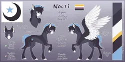 Size: 8000x4000 | Tagged: safe, artist:nocti-draws, derpibooru import, oc, oc:nocti, unofficial characters only, pegasus, pony, absurd resolution, coat markings, color palette, concave belly, cutie mark, ear fluff, english, female, fit, gradient background, image, large wings, mare, muscles, nonbinary pride flag, png, pride, pride flag, pronouns, raised hoof, reference sheet, short mane, short tail, side view, slender, socks (coat marking), solo, spread wings, tail, tall, thin, wingless, wings