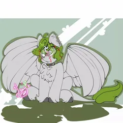 Size: 1080x1080 | Tagged: safe, artist:lery rada, oc, unnamed oc, unofficial characters only, pegasus, pony, undead, zombie, zombie pony, blood, blushing, chest fluff, image, jpeg, leonine tail, male, nosebleed, raised eyebrow, shock collar, sitting, solo, spread wings, stallion, wings