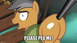 Size: 800x450 | Tagged: suggestive, derpibooru import, edit, edited screencap, screencap, quibble pants, earth pony, pony, season 6, stranger than fan fiction, butt, caption, g4, image, image macro, imgflip, implied pegging, jpeg, male, open mouth, plot, quibble butts, river, rope bridge, solo, solo male, stallion, text, water