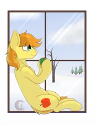 Size: 1872x2496 | Tagged: safe, artist:nekoremilia1, derpibooru import, braeburn, earth pony, pony, chocolate, commission, food, hot chocolate, image, looking out the window, male, png, sitting, smiling, snow, solo, stallion, tail, tree, two toned mane, two toned tail, window, winter, ych result