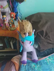 Size: 3000x4000 | Tagged: safe, derpibooru import, izzy moonbow, original species, g5, capybara, image, irl, jpeg, on head, photo, plushie, riding