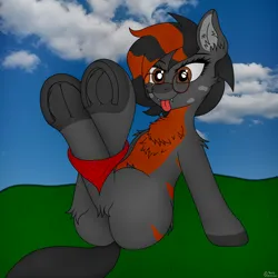 Size: 4000x4000 | Tagged: safe, artist:sassysvczka, derpibooru import, oc, unofficial characters only, earth pony, fox, fox pony, hybrid, pony, :p, advertisement in description, ankle fluff, bandana, body markings, butt, butt fluff, cheek fluff, chest fluff, commission, crossed legs, ear fluff, fangs, frog (hoof), glasses, grass, grass field, hind legs, image, leg fluff, legs in air, legs together, plot, png, simple background, sitting, sky, solo, tongue out, underhoof