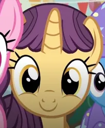 Size: 340x414 | Tagged: safe, derpibooru import, screencap, unnamed character, unnamed pony, pony, to where and back again, cute, g4, image, png, smiling