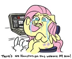Size: 749x618 | Tagged: safe, artist:jargon scott, derpibooru import, angel bunny, fluttershy, pegasus, pony, rabbit, animal, computer, crying, duo, duo male and female, escii keyboard, female, floppy ears, fluttercry, g4, image, laptop computer, male, mare, png, runny nose, simple background, sitting, snot, solo, underhoof, white background, xhamster