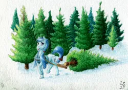 Size: 3411x2387 | Tagged: safe, artist:antnoob, artist:lightsolver, derpibooru import, crosscut mccolt, earth pony, pony, christmas, christmas tree, colored, female, forest, holiday, image, jpeg, looking at you, mccolt family, nature, outdoors, pulling, snow, solo, solo female, traditional art, tree, watercolor painting, winter