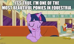 Size: 795x477 | Tagged: safe, derpibooru import, edit, edited screencap, screencap, beaude mane, joan pommelway, twilight sparkle, twilight sparkle (alicorn), alicorn, the saddle row review, caption, eyes closed, image, image macro, imgflip, jpeg, out of character, talking to viewer, text