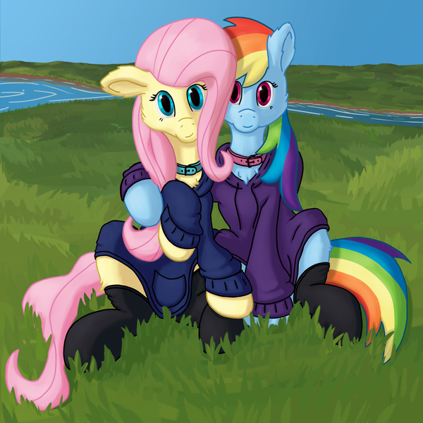 Size: 2160x2160 | Tagged: safe, artist:callichrome, derpibooru import, fluttershy, rainbow dash, pegasus, pony, clothes, collar, cute, dashabetes, female, flutterdash, g4, grass, grass field, hoodie, hug, image, lesbian, looking at you, png, river, shipping, shyabetes, socks, stockings, thigh highs, water
