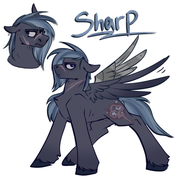 Size: 2300x2300 | Tagged: safe, artist:molars, derpibooru import, oc, oc:sharp shadows, unofficial characters only, pegasus, pony, fallout equestria, ashes town, augmentation, dashite, doodle, eyebrow piercing, female, image, mare, piercing, png, reference sheet, scar, simple background, solo, transparent background, unshorn fetlocks