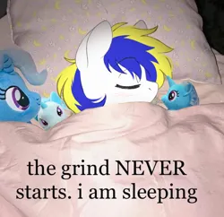 Size: 828x802 | Tagged: safe, artist:higgly-chan, derpibooru import, edit, trixie, oc, oc:juby skylines, unofficial characters only, pony, eyes closed, image, irl, male, meme, photo, photo edit, plushie, png, ponies in real life, ponified animal photo, ponified meme, sleeping, solo, stallion, text