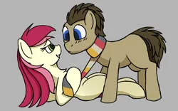 Size: 2040x1275 | Tagged: safe, artist:frilanka, derpibooru import, doctor whooves, roseluck, time turner, earth pony, pony, blushing, clothes, doctorrose, duo, female, fourth doctor's scarf, gray background, grin, image, lying down, male, on back, png, pulling, scarf, shipping, simple background, smiling, straight, striped scarf