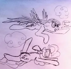 Size: 3243x3120 | Tagged: safe, artist:dhm, derpibooru import, pinkie pie, rainbow dash, pony, cloud, flying, g4, image, jpeg, monochrome, sketch, speech bubble, swimming, traditional art, wtf