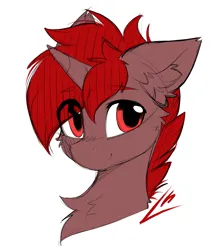 Size: 3012x3582 | Tagged: safe, artist:lunylin, derpibooru import, oc, oc:hardy, alicorn, pony, bust, chest fluff, ear fluff, image, looking at you, male, png, solo, stallion