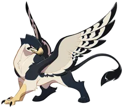 Size: 2439x2142 | Tagged: safe, artist:kez, derpibooru import, oc, oc:giza, gryphon, egyptian, image, looking to the right, png, sideways glance, solo, spread wings, wings