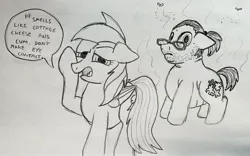 Size: 3316x2066 | Tagged: safe, artist:dhm, derpibooru import, rainbow dash, pony, 4chan, autism, cringing, cum, drawthread, fat, funny, glasses, high res, image, jpeg, looking at you, monochrome, ponytail, self deprecation, self insert, sketch, smelly, speech bubble, stink lines, talking to viewer, traditional art, vulgar