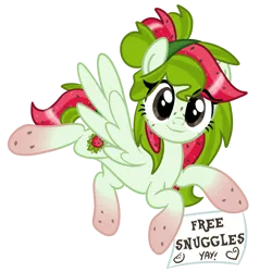 Size: 5280x5280 | Tagged: safe, artist:sjart117, derpibooru import, oc, oc:watermelana, unofficial characters only, pegasus, pony, derpibooru community collaboration, 2024 community collab, cute, derpibooru exclusive, female, flying, freckles, free hugs, gradient hooves, image, looking at you, magnetic hooves, mare, png, sign, simple background, solo, transparent background, yay