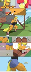 Size: 3732x8651 | Tagged: safe, artist:matchstickman, derpibooru import, apple bloom, applejack, anthro, earth pony, plantigrade anthro, pony, tumblr:where the apple blossoms, ..., apple sisters, applebucking thighs, applejacked, barrel, biceps, breasts, busty applejack, clothes, comic, deltoids, duo, female, g4, gritted teeth, image, mare, matchstickman's apple brawn series, muscles, muscular female, png, shoes, siblings, sisters, squatting, sweat, sweet apple acres, teeth, thighs, thunder thighs, tumblr comic