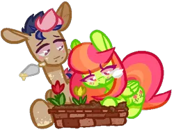 Size: 444x332 | Tagged: safe, artist:cloudyydaze, derpibooru import, oc, oc:brick, oc:tulipa, unofficial characters only, earth pony, pegasus, pony, blushing, commission, commissioner:looji, cute, duo, female, floppy ears, flower, folded wings, garden, gardening, image, lying down, male, mare, mare oc, mouth hold, png, prone, shipping, simple background, stallion, stallion oc, transparent background, trowel, tulip, wings