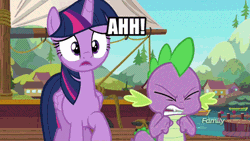 Size: 500x281 | Tagged: safe, edit, edited screencap, editor:undeadponysoldier, ponerpics import, ponybooru import, screencap, spike, twilight sparkle, twilight sparkle (alicorn), alicorn, dragon, pony, ppov, angry, animated, confused, edited gif, female, frustrated, gif, image, male, mare, meme, op has a point, raised hoof, raised leg, rant, rant in the description, screaming, text
