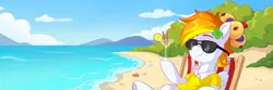 Size: 3000x1000 | Tagged: safe, artist:skysorbett, derpibooru import, oc, oc:firepit home, unofficial characters only, pegasus, pony, starfish, beach, beach chair, chair, clothes, cloud, colored eyebrows, commission, crown, drinking straw, ear piercing, earring, food, glass, hill, image, jewelry, lemon, lying down, ocean, on back, pegasus oc, piercing, plant, png, regalia, sand, shell, solo, sunglasses, water, wings