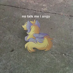 Size: 719x720 | Tagged: safe, alternate version, artist:lerkfruitbat, derpibooru import, derpy hooves, pegasus, pony, chest fluff, ear fluff, female, folded wings, image, irl, jpeg, lying down, mare, meme, no talk me im angy, photo, ponified animal photo, ponified meme, ponyloaf, prone, road, shadow, solo, wings