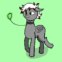 Size: 1000x1000 | Tagged: safe, artist:synaks, derpibooru import, oc, oc:synaks, unofficial characters only, pegasus, blushing, collar, green background, green eyes, image, jpeg, leash, simple background, solo