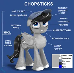 Size: 1850x1835 | Tagged: safe, artist:chopsticks, derpibooru import, oc, oc:chopsticks, unofficial characters only, pegasus, pony, butt fluff, cheek fluff, chest fluff, chipped tooth, diagram, fluffy, hat, image, looking at you, male, png, simple background, smol, solo, stallion, text, unshorn fetlocks