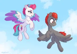 Size: 2254x1593 | Tagged: safe, artist:skysorbett, derpibooru import, zipp storm, oc, pegasus, pony, g5, anxious, cloud, duo, duo male and female, female, flying, image, male, mare, pegasus oc, png, sky, stallion, wings