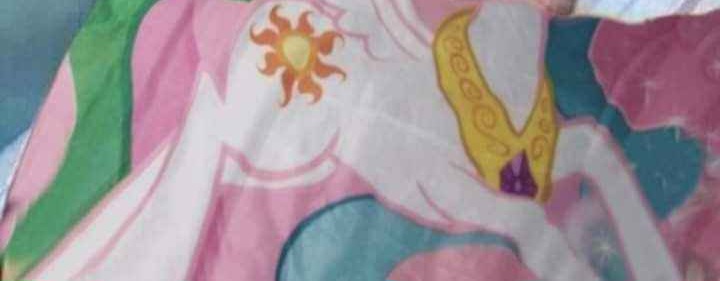 Size: 720x281 | Tagged: safe, derpibooru import, princess celestia, alicorn, blanket, body, image, irl, jpeg, photo