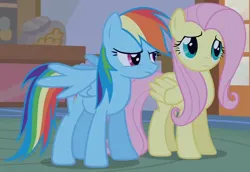 Size: 854x589 | Tagged: safe, derpibooru import, screencap, fluttershy, rainbow dash, pegasus, pony, bridle gossip, g4, season 1, cropped, cute, duo, duo female, female, image, mare, partially open wings, png, shyabetes, standing, sugarcube corner, wings, worried