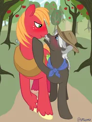 Size: 768x1024 | Tagged: suggestive, artist:uniomie, derpibooru import, big macintosh, burnt oak, earth pony, pony, apple, apple orchard, apple tree, blushing, duo, duo male, facial hair, food, freckles, hat, image, imminent kissing, male, moustache, orchard, outdoors, png, shipping, tree