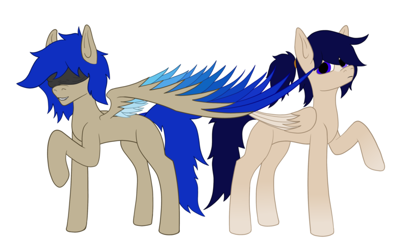 Size: 3218x1993 | Tagged: safe, artist:duskendraws, derpibooru import, oc, oc:duraesmia, oc:nardaem, unofficial characters only, pegasus, pony, blindfold, brother and sister, derpibooru exclusive, female, image, male, png, siblings, simple background, transparent background, twins