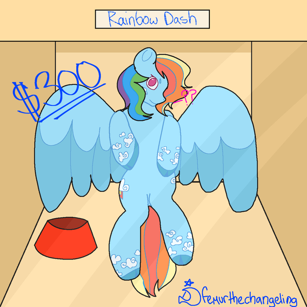 Size: 1280x1280 | Tagged: safe, artist:femurthechangeling, derpibooru import, rainbow dash, pegasus, pony, series:mini ponies, box, flying, image, looking at you, pet bowl, png, ponies for sale, pony pet, price, solo, suspicious, suspicious face, tiny, tiny ponies