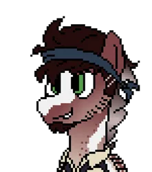 Size: 450x510 | Tagged: safe, artist:nukepony360, derpibooru import, oc, oc:lucky shot, unofficial characters only, pegasus, pony, artfight, bandana, bust, clothes, digital art, facial hair, goatee, image, male, pirate, pixel art, png, portrait, shirt, simple background, solo, stallion, transparent background, vest