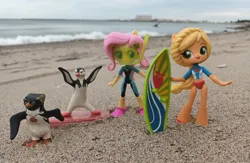 Size: 1107x722 | Tagged: safe, artist:dingopatagonico, derpibooru import, applejack, fluttershy, bird, human, penguin, equestria girls, g4, argentina, image, jpeg, photo, surf's up, surfboard