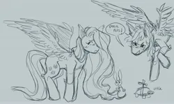 Size: 4096x2448 | Tagged: safe, artist:smoke_signs, derpibooru import, angel bunny, fluttershy, rainbow dash, tank, pegasus, pony, rabbit, tortoise, g4, animal, deez nuts, dialogue, flying, gray background, image, jpeg, male, simple background, sketch, speech bubble, spread wings, wings