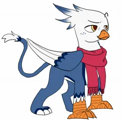 Size: 1614x1614 | Tagged: safe, artist:v_nico_, derpibooru import, oc, oc:windchaser, unofficial characters only, gryphon, beak, blue feather, clothes, feather, griffon oc, image, jpeg, red scarf, scarf, simple background, sketch, talons