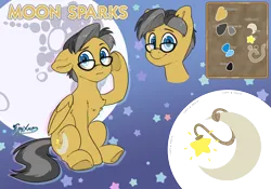 Size: 5000x3500 | Tagged: safe, artist:fluffyxai, derpibooru import, oc, oc:moon sparks, oc:oc only, pony, image, male, png, reference sheet, stallion