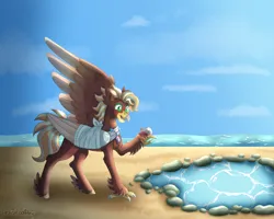 Size: 5192x4150 | Tagged: safe, artist:artistcoolpony, derpibooru import, oc, unofficial characters only, classical hippogriff, hippogriff, absurd resolution, bandage, bandaged wing, commission, hermit crab, image, ocean, one wing out, png, solo, tide pools, water, wings