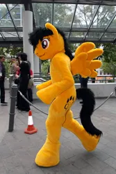 Size: 600x900 | Tagged: safe, artist:atalonthedeer, derpibooru import, oc, oc:kazagh, human, pegasus, eurofurence, fursuit, image, irl, irl human, jpeg, photo, ponysuit, side view, solo focus, spread wings, walking, wings