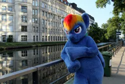 Size: 1200x800 | Tagged: safe, artist:atalonthedeer, derpibooru import, rainbow dash, 2016, canal, eurofurence, fursuit, image, irl, jpeg, photo, ponysuit, solo