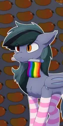 Size: 2000x4000 | Tagged: safe, artist:monycaalot, derpibooru import, oc, oc:scrimmy, unofficial characters only, bat pony, bat pony oc, bat wings, clothes, commission, gay pride flag, gift art, image, patterned background, png, pride, pride flag, pride month, socks, solo, striped socks, wings, ych result