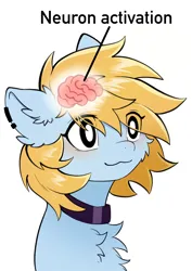 Size: 1858x2626 | Tagged: safe, artist:gale spark, derpibooru import, oc, oc:gale spark, unofficial characters only, pony, :3, blushing, brain, cheek fluff, chest fluff, cute, ear fluff, ear piercing, funny, image, meme, neuron activation, organs, piercing, png, simple background, smiling, solo, white background