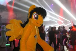 Size: 1200x800 | Tagged: safe, derpibooru import, oc, oc:kazagh, unofficial characters only, pegasus, 2018, crowd, eurofurence, furry, fursuit, image, irl, jpeg, photo, ponysuit, solo focus, spread wings, wings