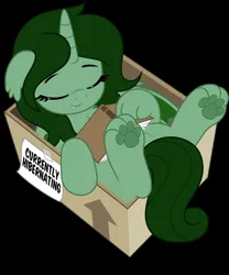 Size: 1664x2000 | Tagged: safe, artist:jhayarr23, ponerpics import, oc, oc:denalia, pony, box, eyes closed, female, image, jpeg, mare, show accurate, sleeping, vector