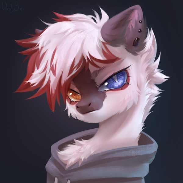 Size: 3000x3000 | Tagged: safe, artist:unt3n, derpibooru import, oc, oc:kai, unofficial characters only, pegasus, pony, bust, cheek fluff, chest fluff, commission, ear fluff, ear tufts, eyelashes, high res, image, male, pegasus oc, png, portrait, render, shading, signature, wings